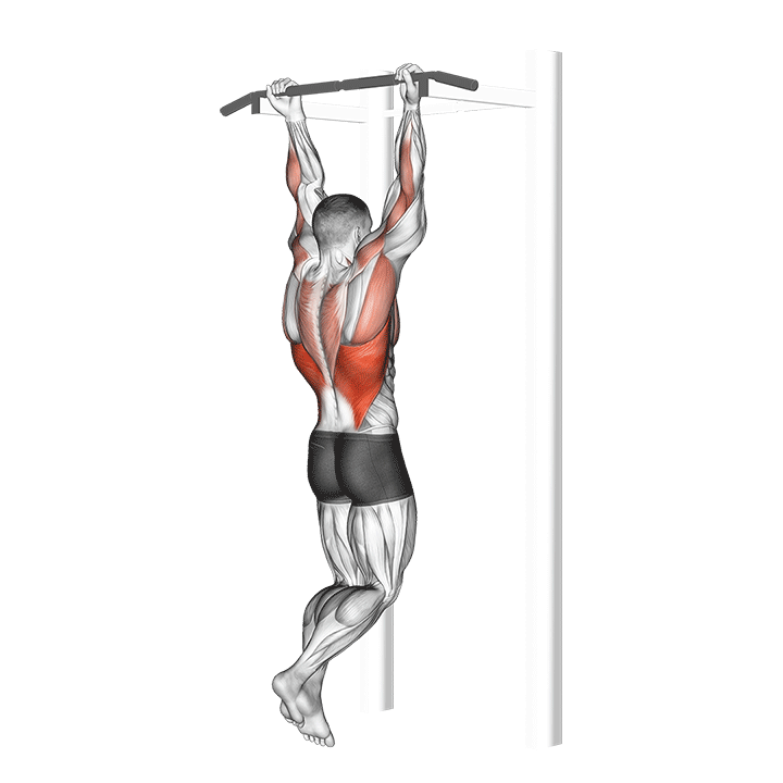 Fitness Schema Voor Gevorderden Menspower nl