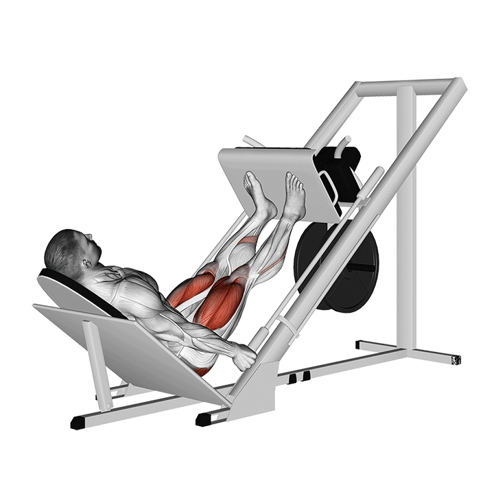 Leg Press Uitvoering En Uitleg Men sPower